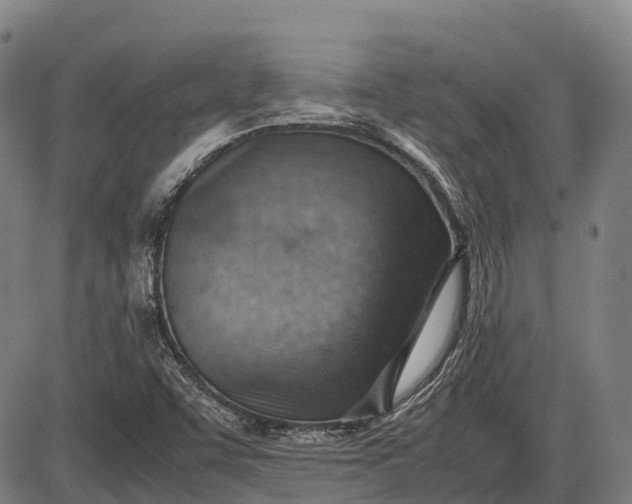 X0000085751455200703301350