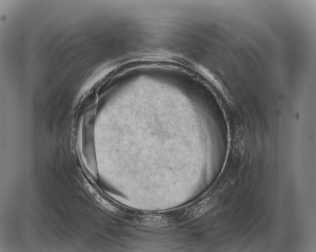 X0000085751456200703301350