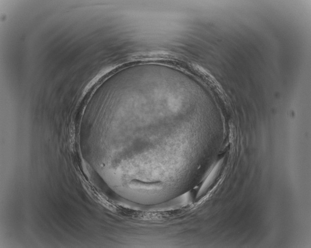 X0000085751457200703301350