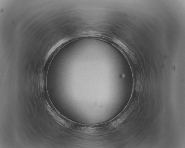 X0000085751458200703301350