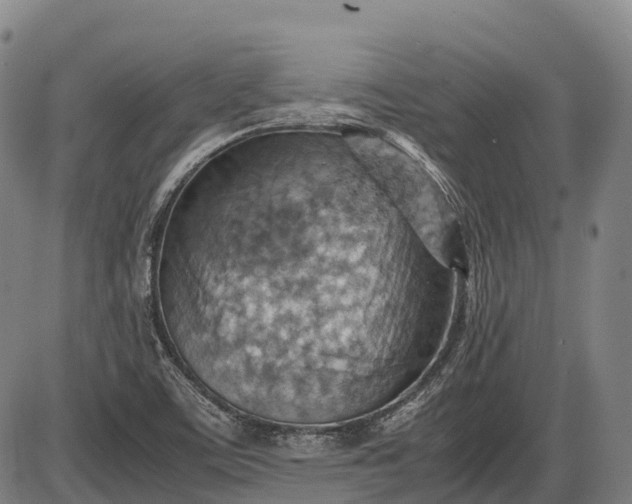 X0000085751459200703301350