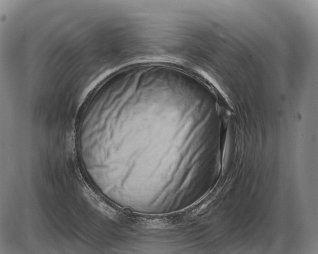 X0000085751460200703301350