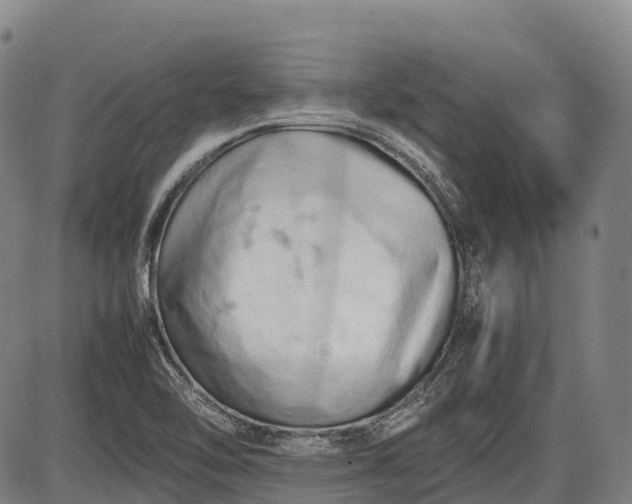 X0000085751462200703301350