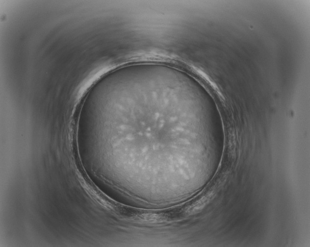 X0000085751463200703301349