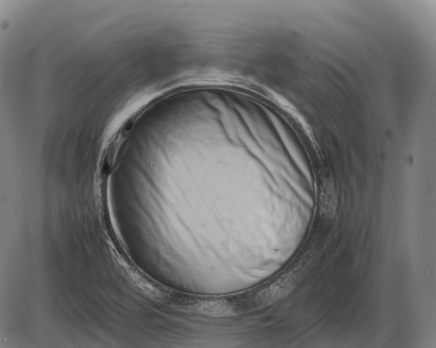 X0000085751464200703301349