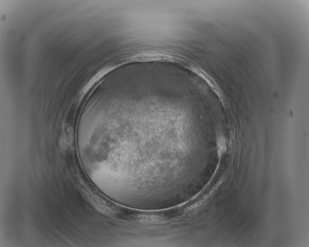 X0000085751465200703301349