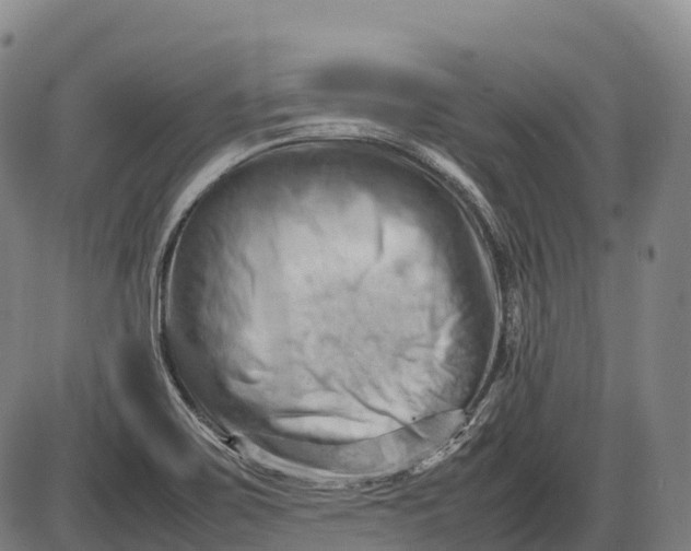 X0000085751467200703301349