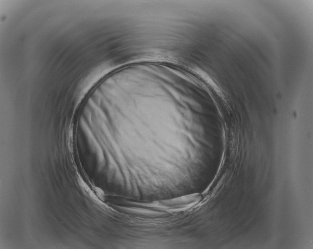 X0000085751468200703301349