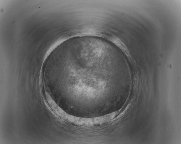 X0000085751469200703301349