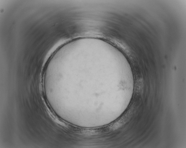 X0000085751470200703301349