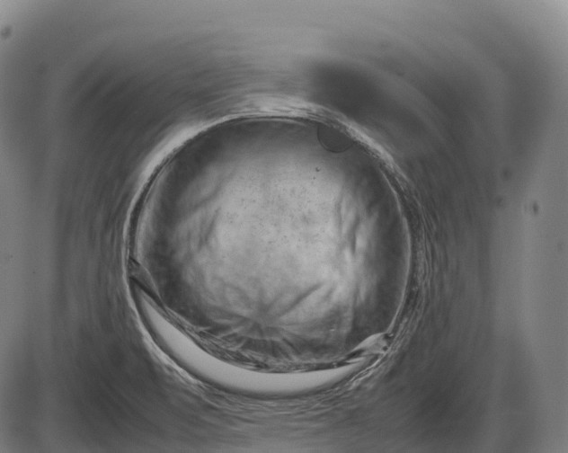 X0000085751471200703301349