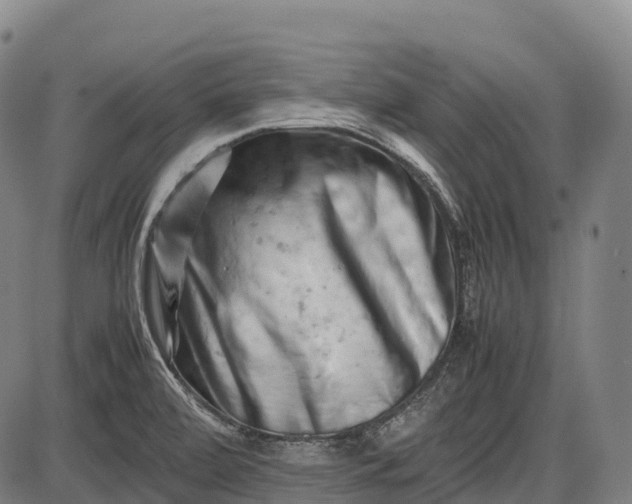 X0000085751472200703301349