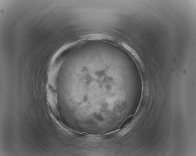 X0000085751473200703301349