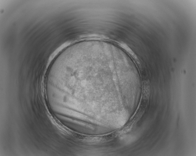 X0000085751474200703301349