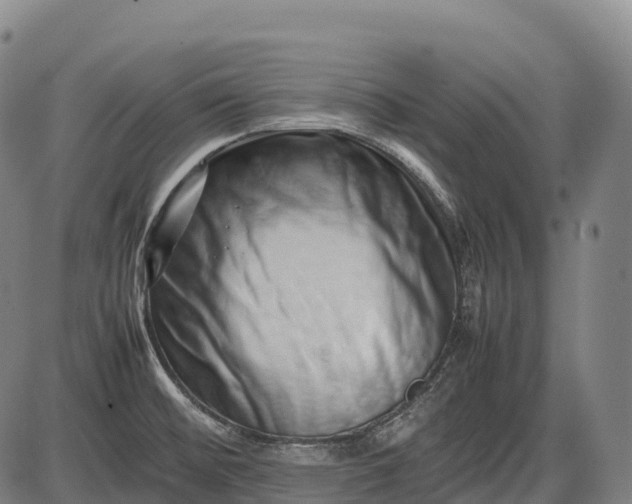 X0000085751476200703301349