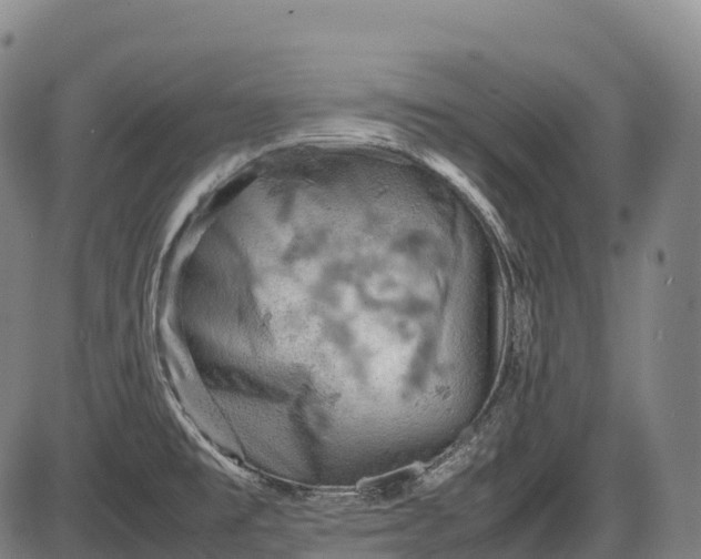 X0000085751477200703301349