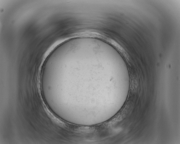 X0000085751478200703301349