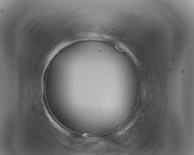 X0000085751479200703301349