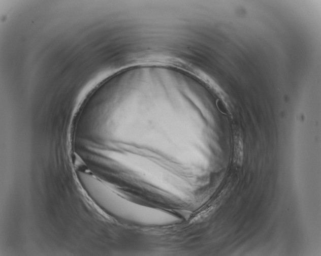 X0000085751480200703301349