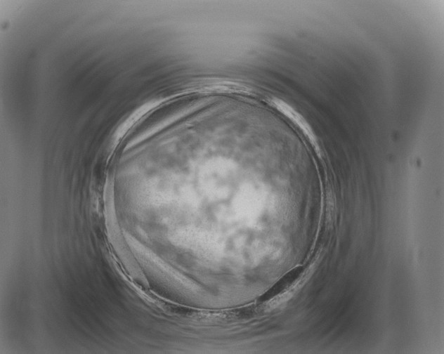 X0000085751481200703301349