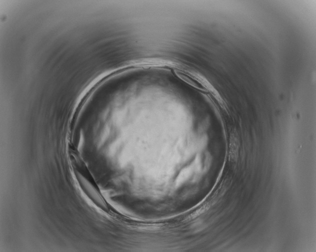 X0000085751484200703301349