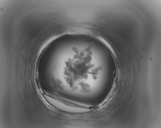 X0000085751485200703301349