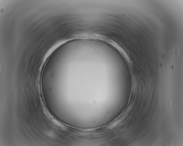 X0000085751486200703301349