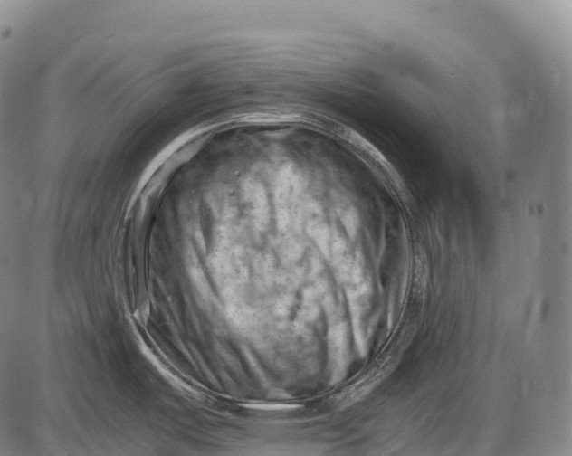 X0000085751487200703301349