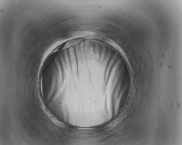 X0000085751488200703301349