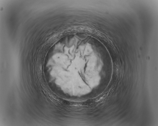 X0000085751489200703301348