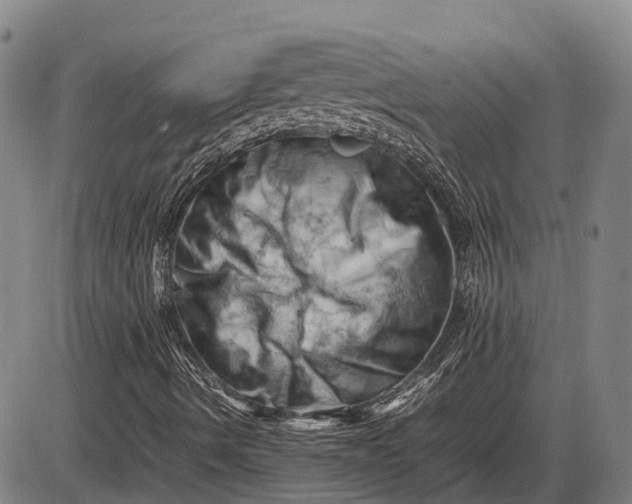 X0000085751490200703301348