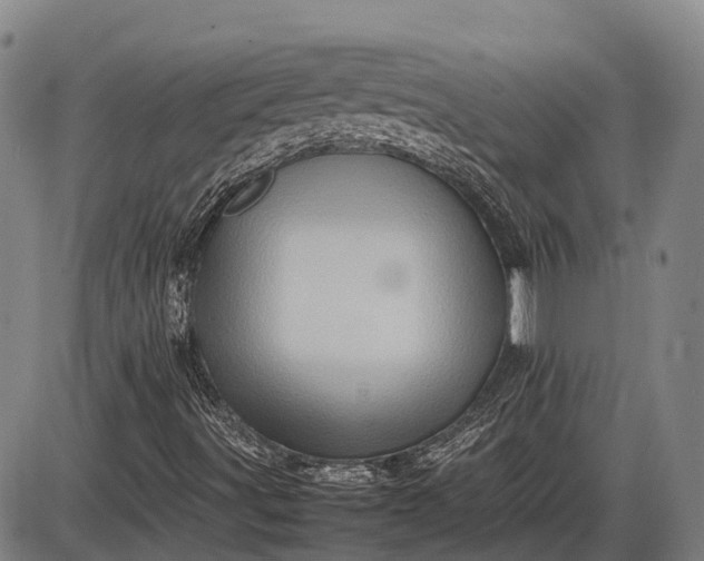 X0000085751491200703301348