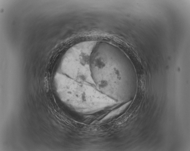 X0000085751493200703301348