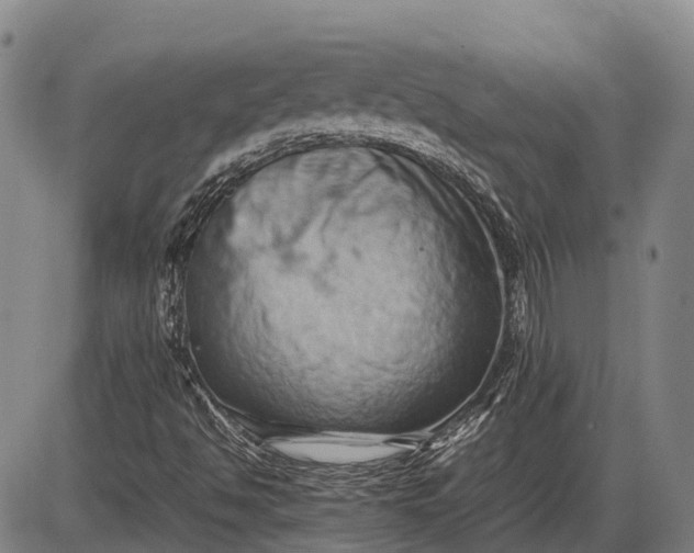 X0000085751494200703301348