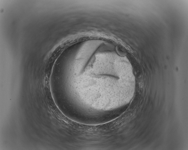 X0000085751495200703301348