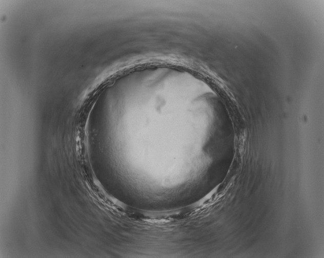 X0000085751496200703301348