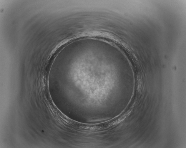 X0000085751497200703301348