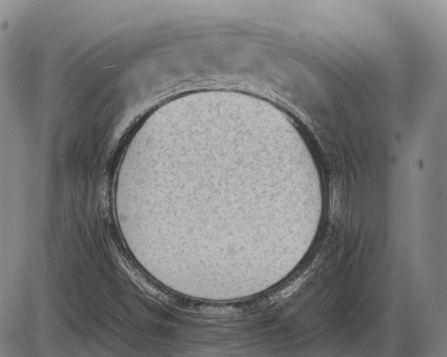 X0000085751498200703301348