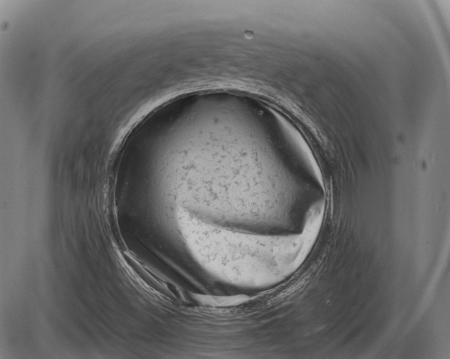 X0000085751500200703301348