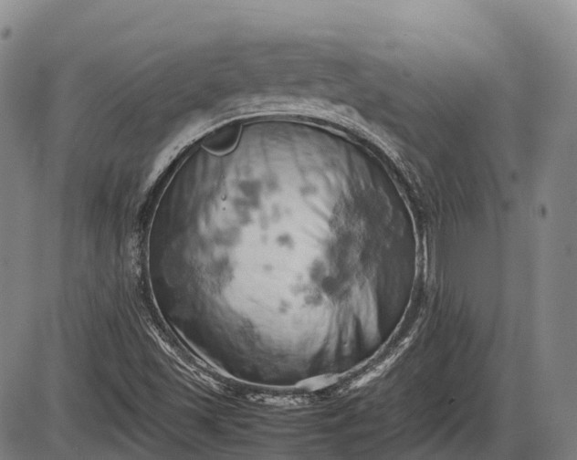 X0000085751501200703301348