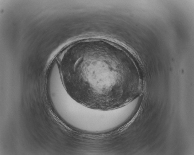 X0000085751502200703301348