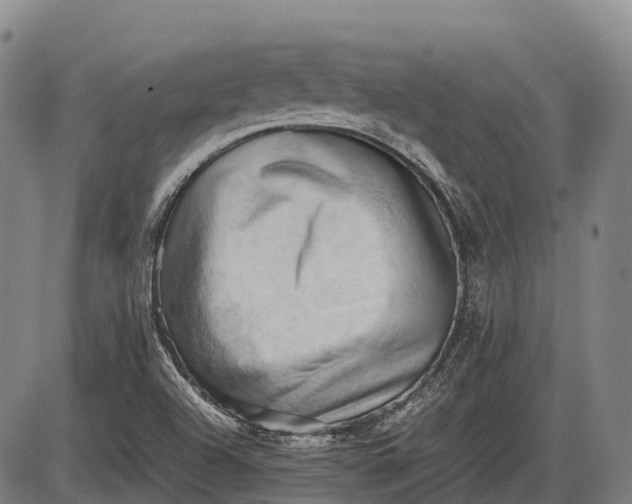 X0000085751504200703301349