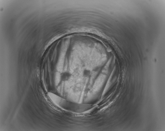 X0000085751505200703301349