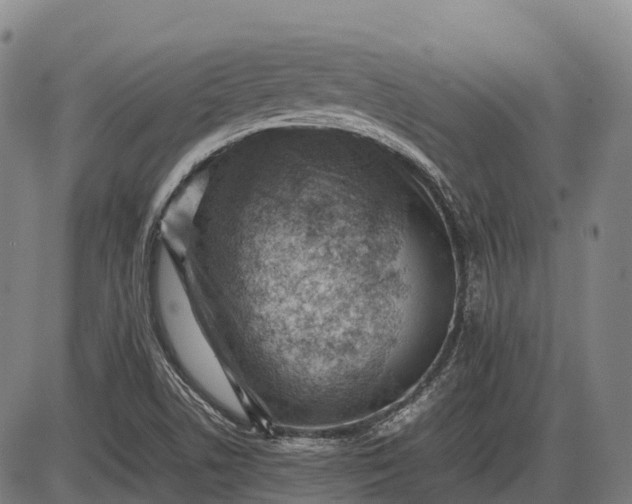 X0000085751506200703301349