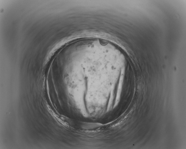 X0000085751507200703301349