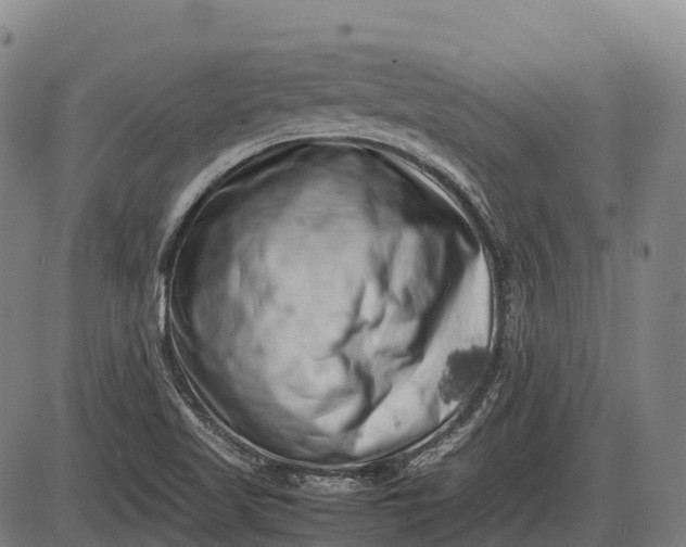 X0000085751509200703301349