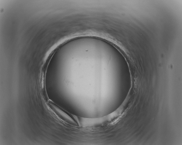 X0000085751510200703301349