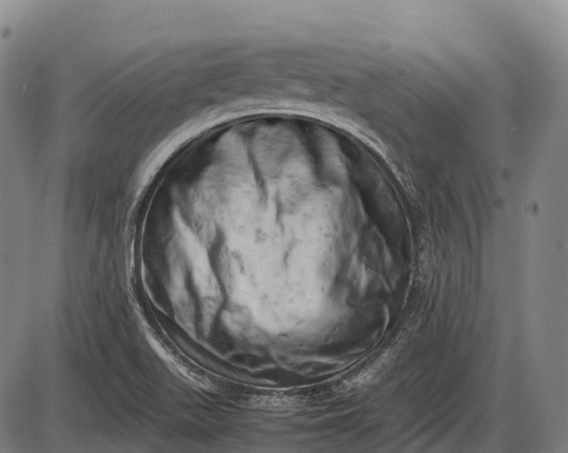 X0000085751511200703301349