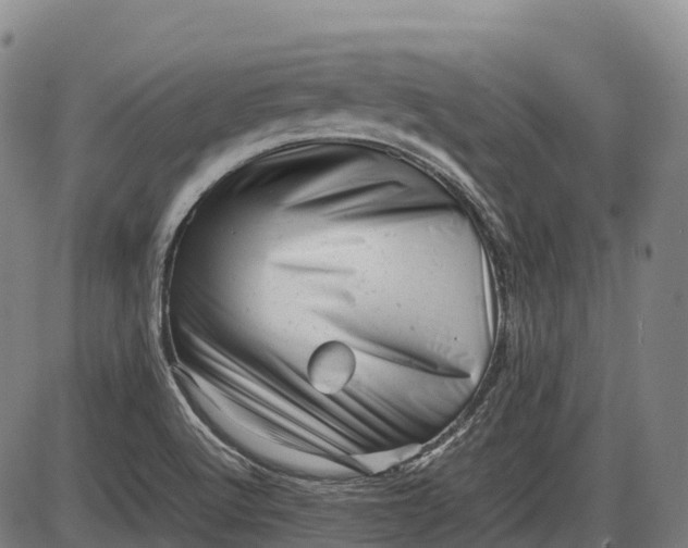 X0000085751512200703301349