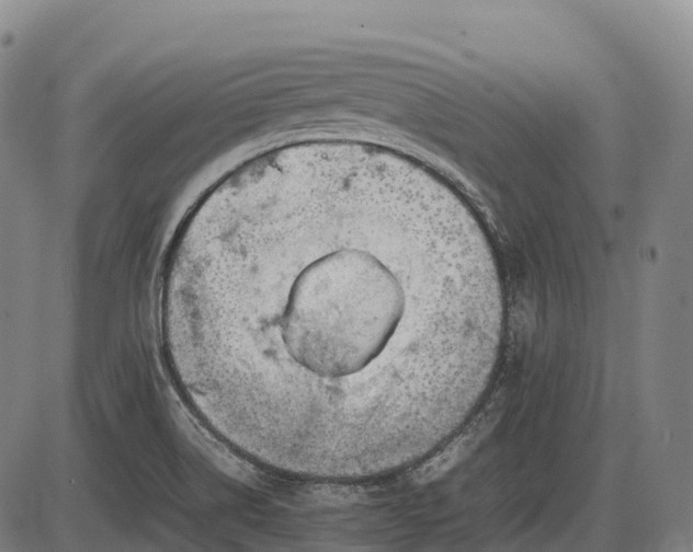 X0000085751514200703301349